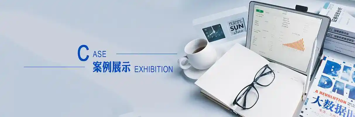 爱辉区软件开发